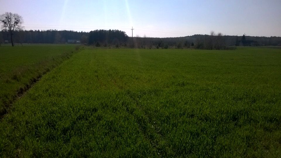 Działka budowlano-rolna Czernikowo