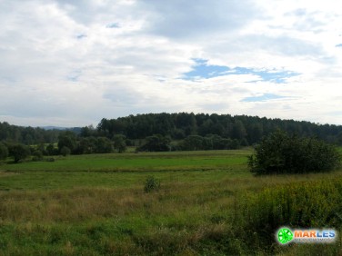 Działka rolna Łomnica