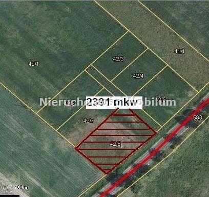 Zdjęcie 3