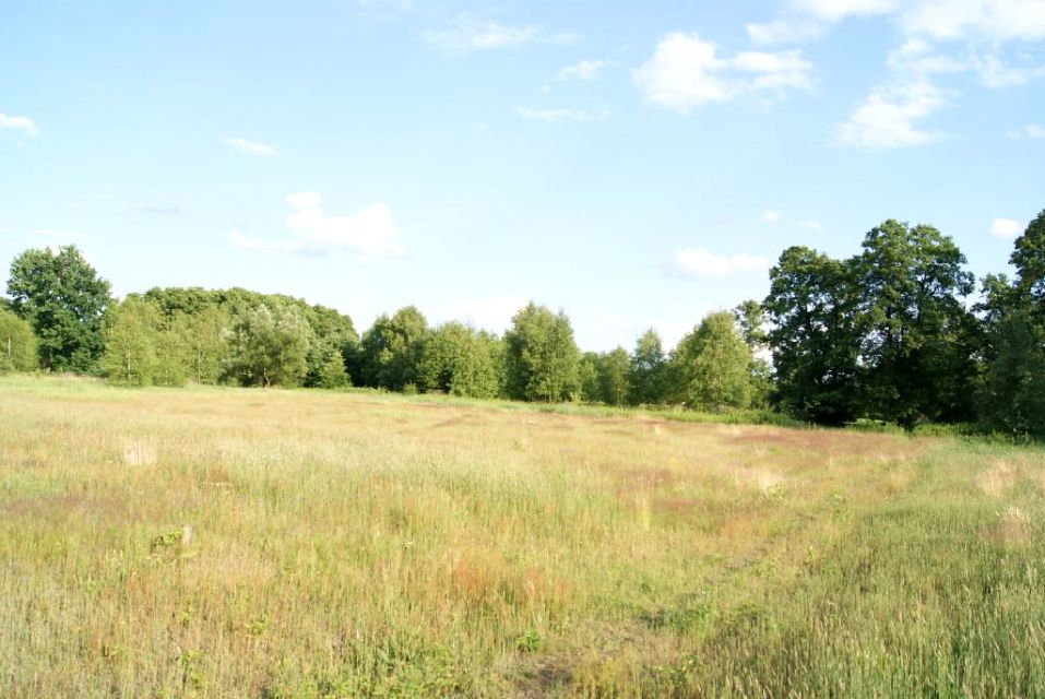 Działka budowlana Wincentówek