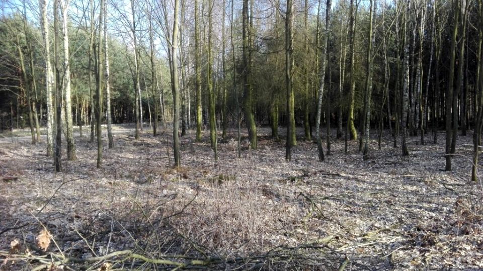 Pusta działka Powązki