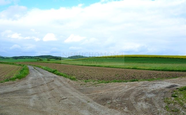 Działka budowlana Piława Dolna