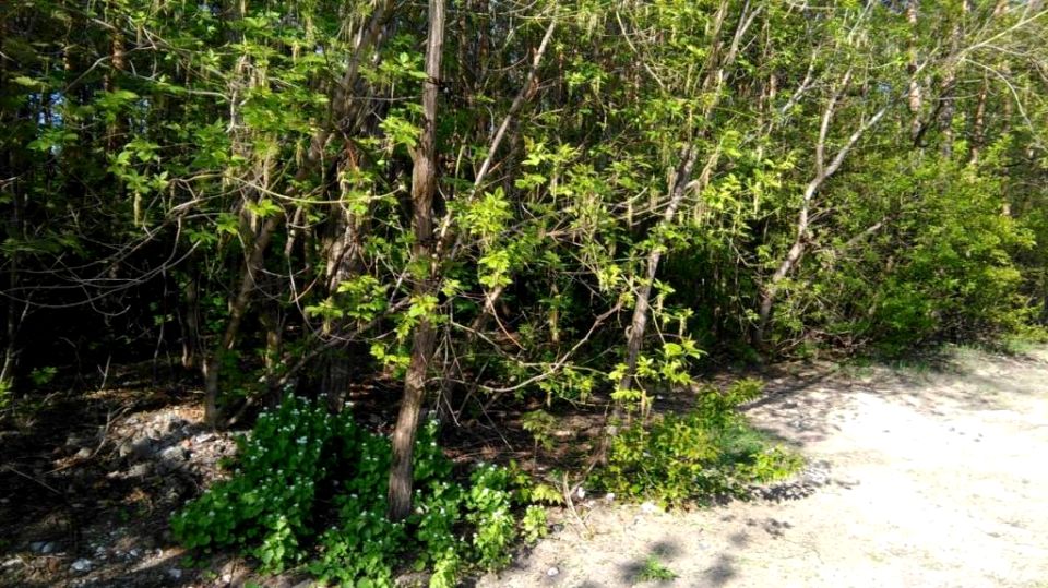 Działka budowlana sprzedam