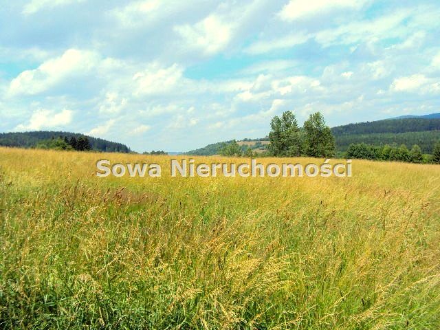 Pusta działka Bartnica