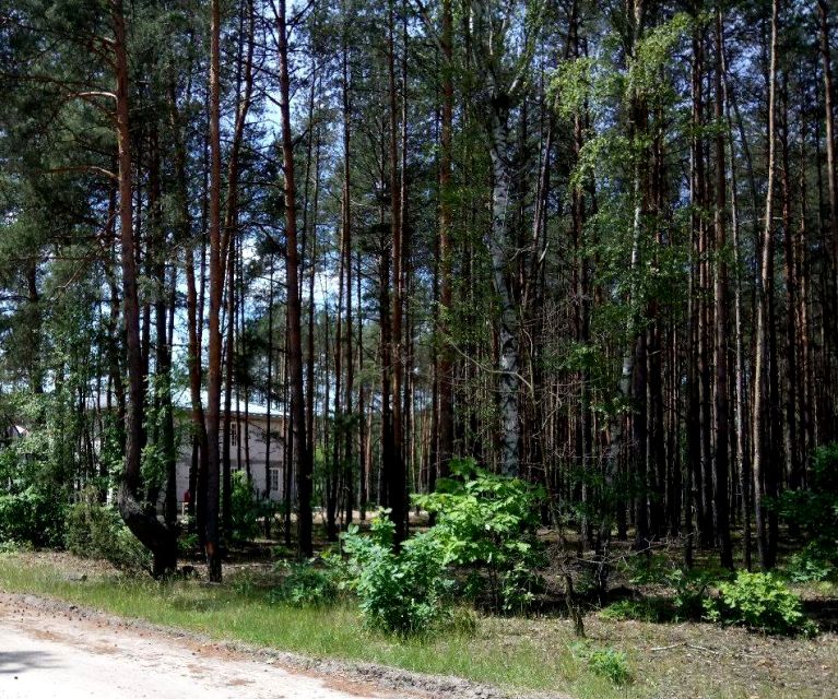 Działka budowlana Józefów