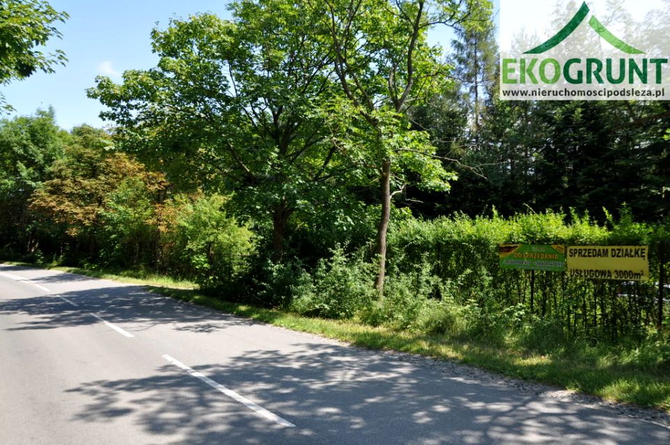 Działka Sulistrowiczki