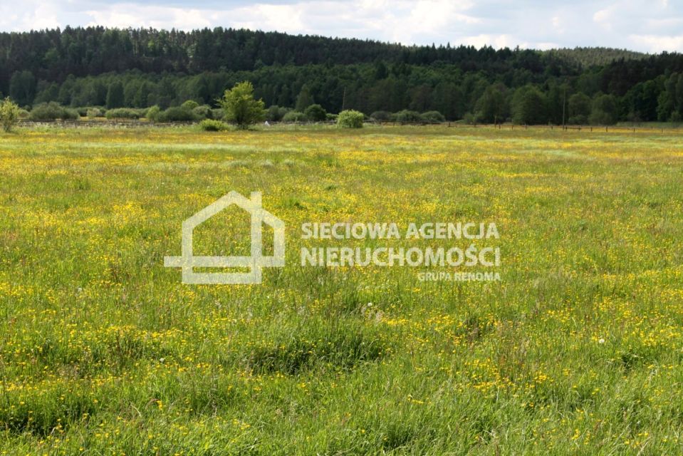 Działka budowlana Lubowidz