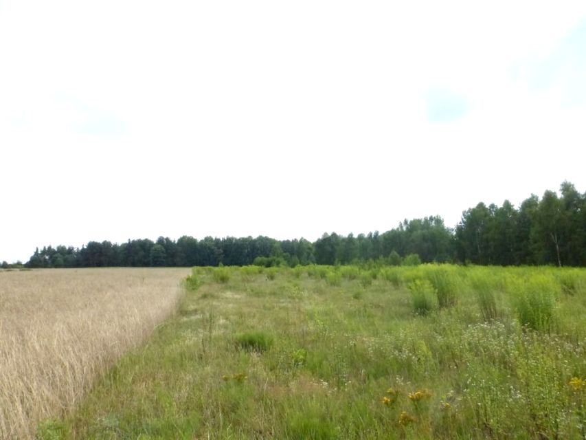 Działka budowlana Przyrów