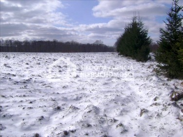 Działka siedliskowa Żarnowska