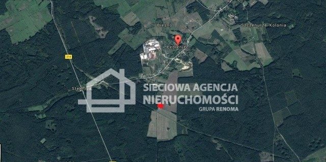 Zdjęcie 2