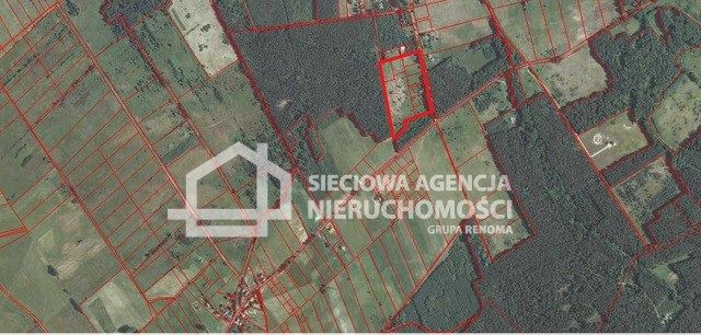 Działka siedliskowa Szczenurze
