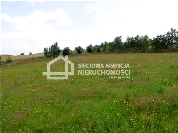 Działka rolna Klonowo Górne
