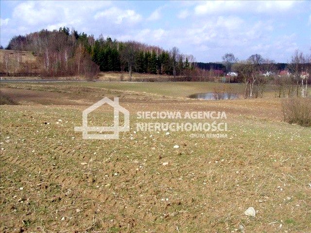 Działka rolna Nowa Karczma