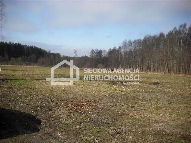 Działka budowlana Żuławka