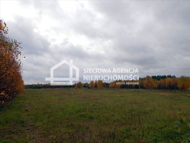 Działka siedliskowa Dąbrowa Brzezieńska