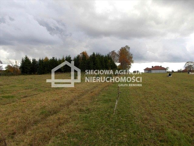 Działka siedliskowa Dąbrowa Brzezieńska