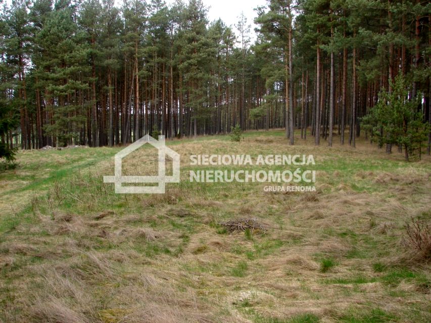 Działka leśna sprzedam