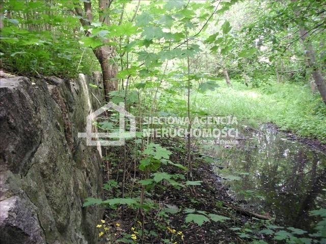 Działka usługowa Kolbudy