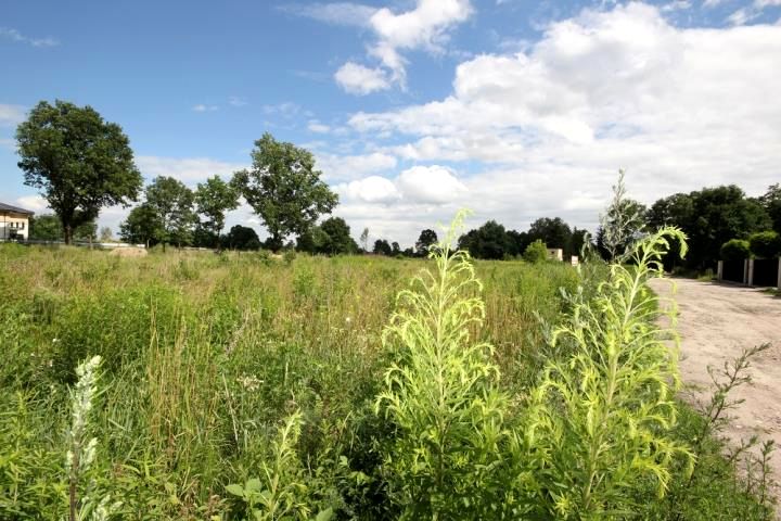 Działka budowlana Warszawa