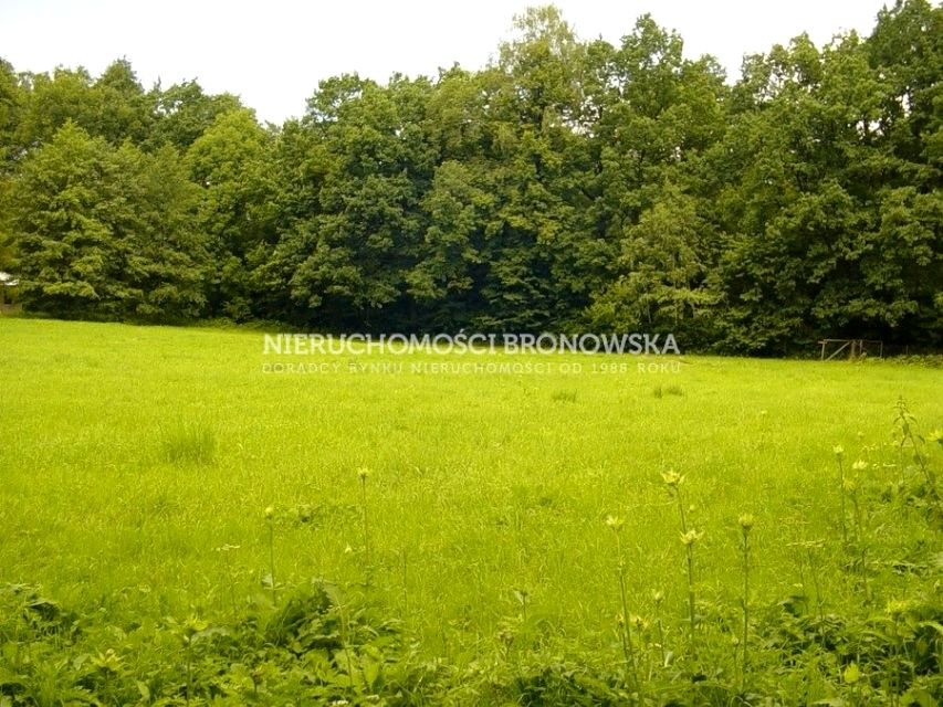 Działka budowlana Międzyrzecze Dolne