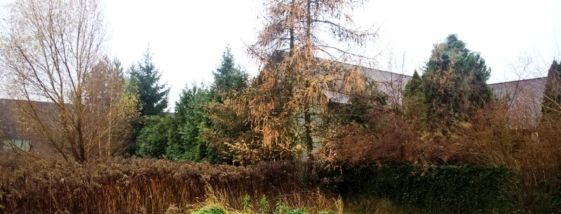 Działka inna Długołęka