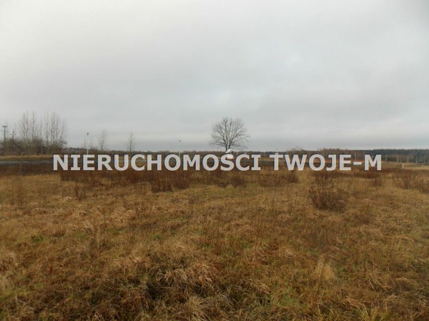 Działka Lubienia