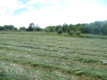 Działka budowlana Trąbki