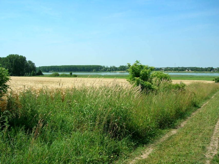 Działka budowlana Więckowice