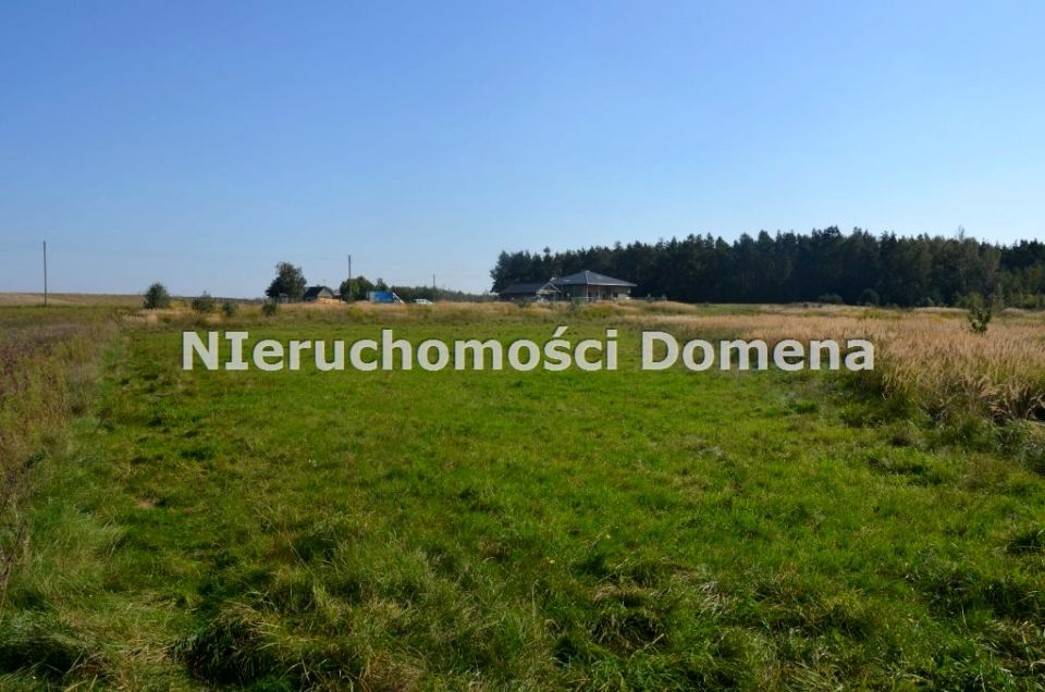 Działka inwestycyjna Podlas
