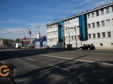 Lokal Poznań wynajem