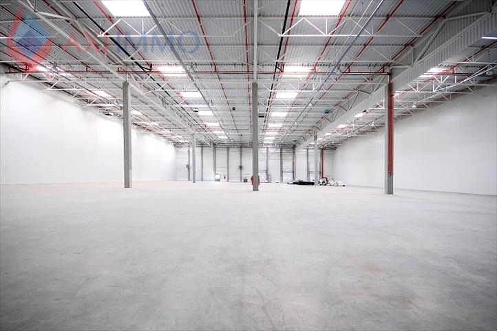 Budynek użytkowy Warszawa wynajem