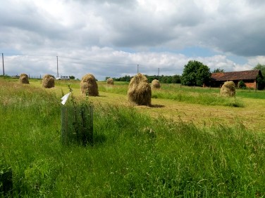 Działka budowlana Kostkowice