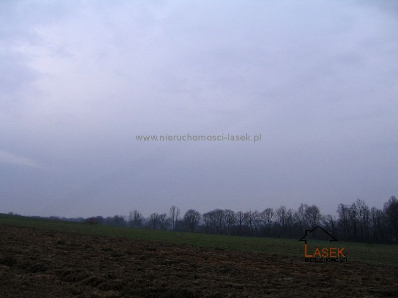 Działka Frydrychowice