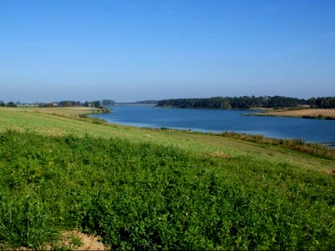 Działka budowlana Radzyny