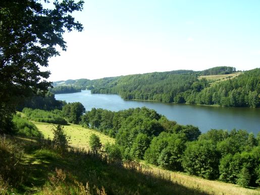 Działka usługowa Miechucino