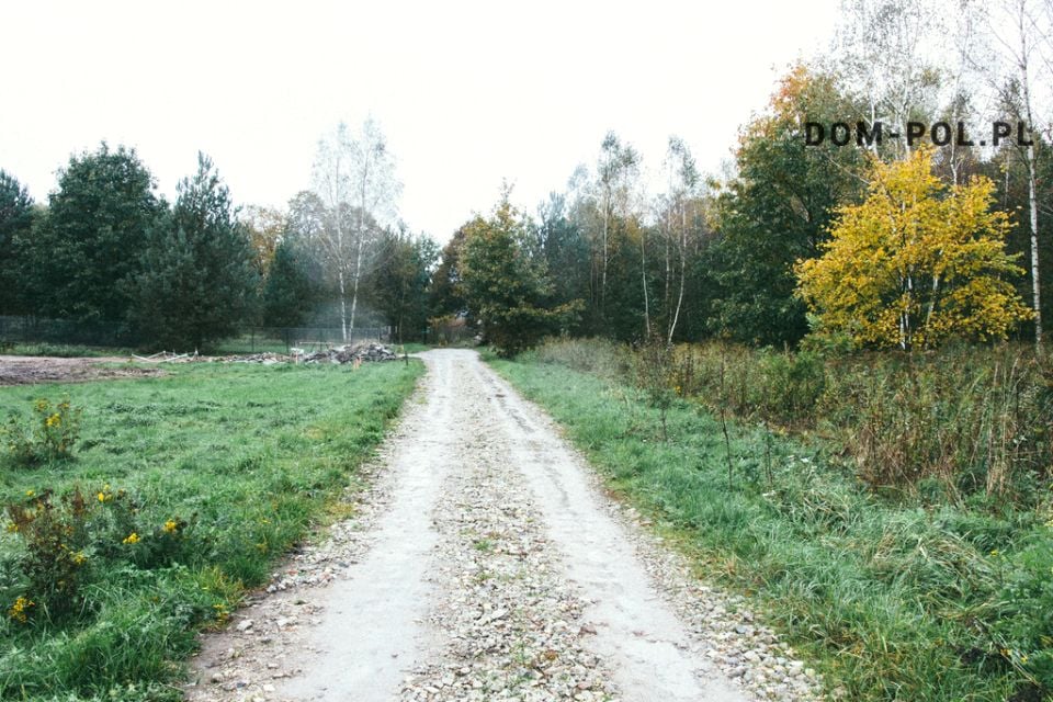 Zdjęcie 3