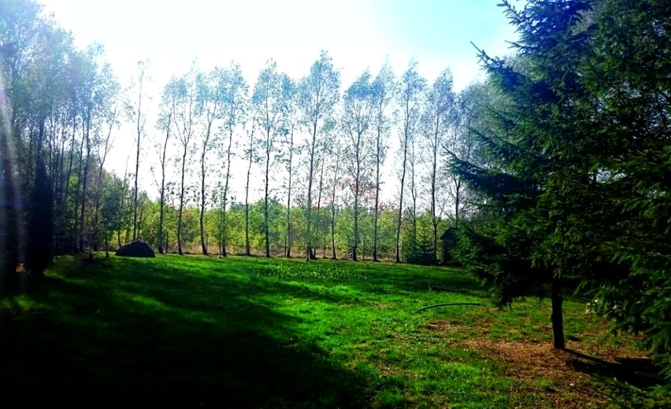 Działka budowlana Sowia Wola