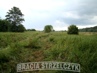 Działka rolna Michałów