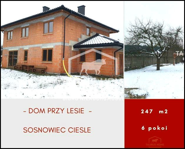 Dom Sosnowiec