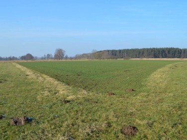 Działka rolna Chojęcin