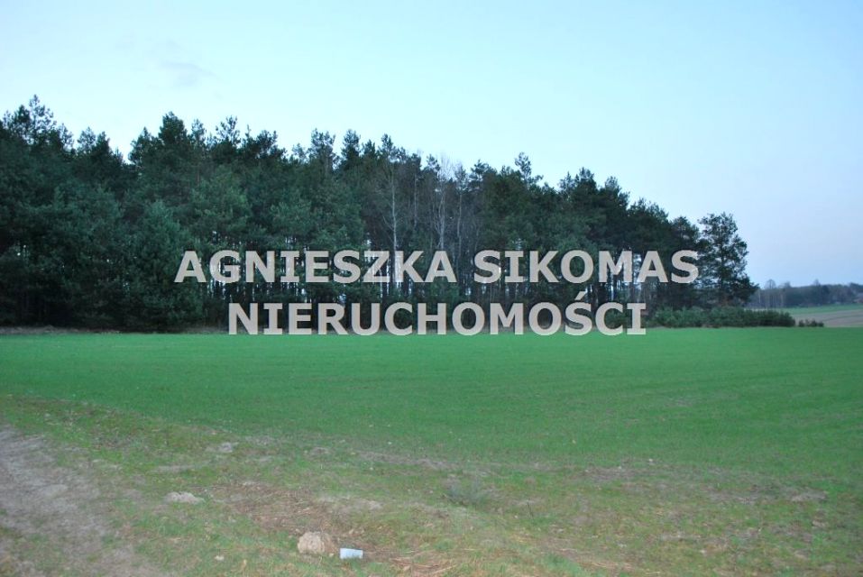 Działka leśna Ogorzelnik