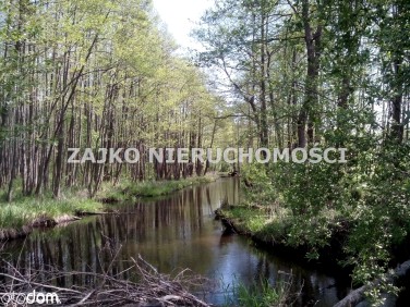 Działka rekreacyjna Zarzecze Jeleniewskie