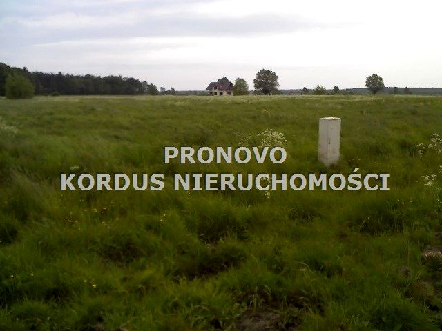 Działka Mierzyn