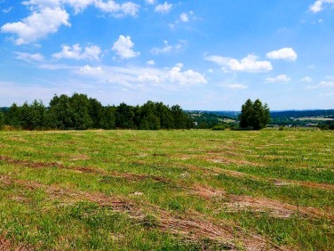 Działka budowlana Głogoczów