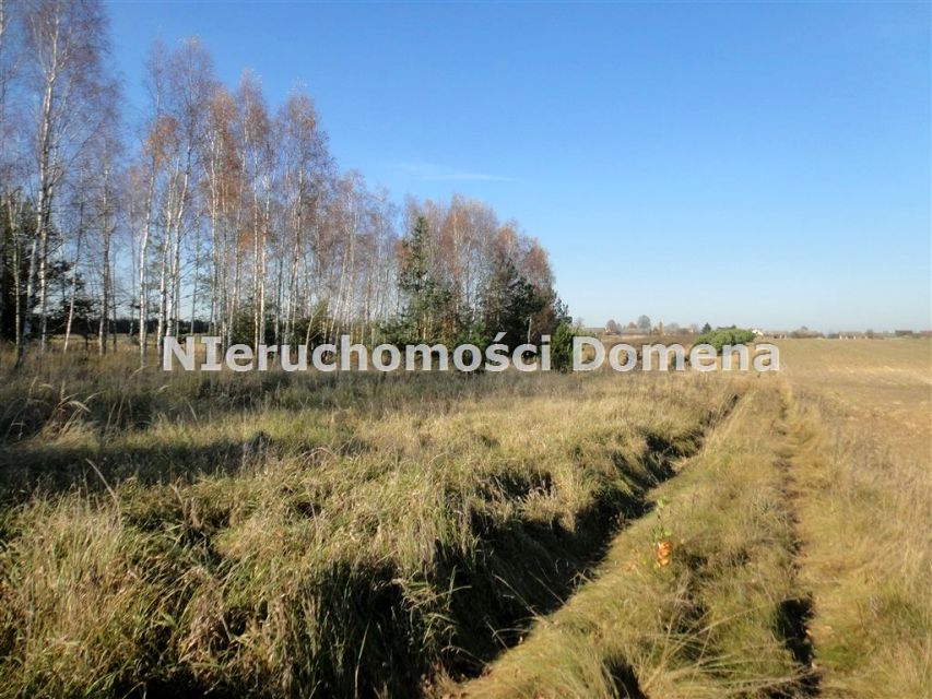Działka rolna brzustów