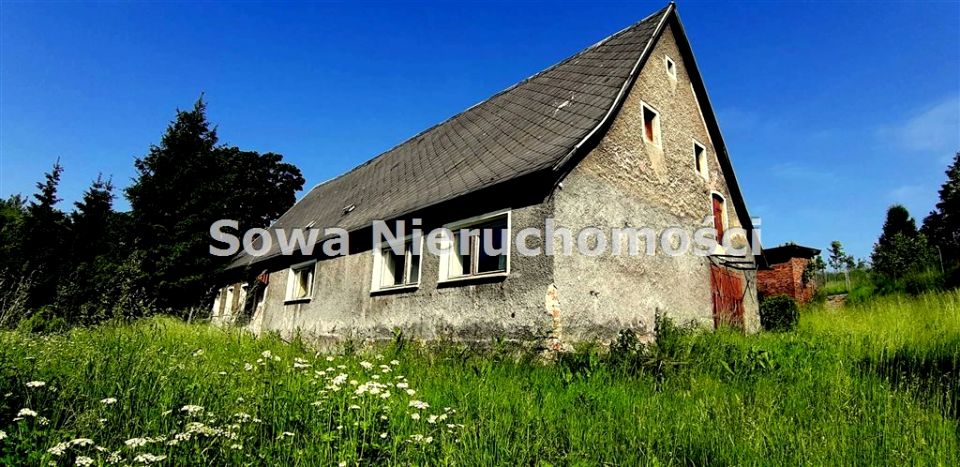 Dom Głuszyca