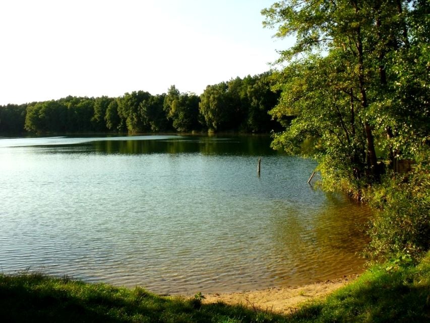 Dom Dzikowo