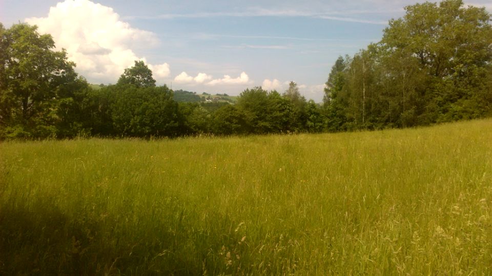 Działka Sitnica