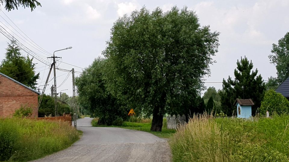 Działka budowlano-rolna Kruszówiec