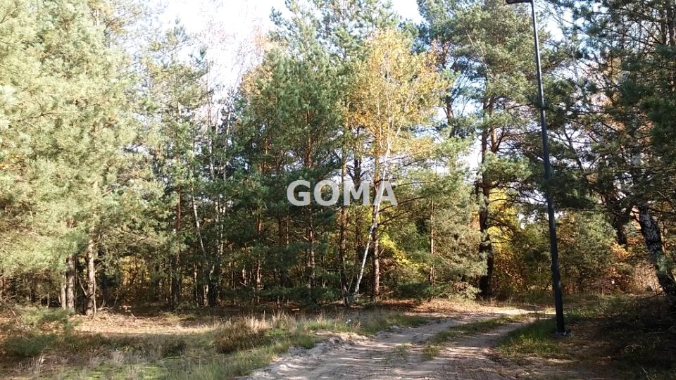 Zalesiona działka Warszawa